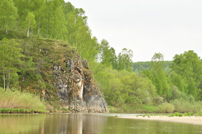 река Чумыш Ельцовский район_pozhidaeva_ludmila.jpg