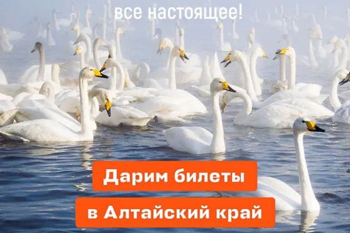 розыгрыш путешествия на Алтай от Авиасейлз_Ангелина Аверина.jpg
