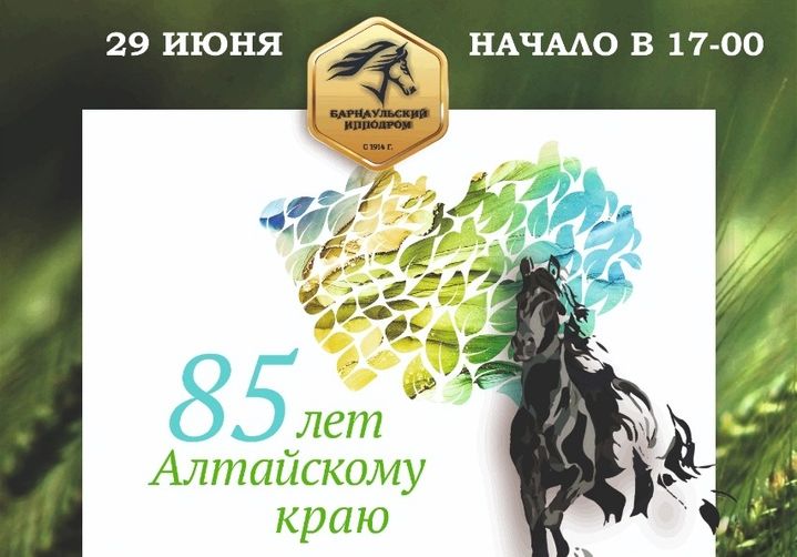 Большие бега на Барнаульском ипподроме_hippobarnaul.jpg