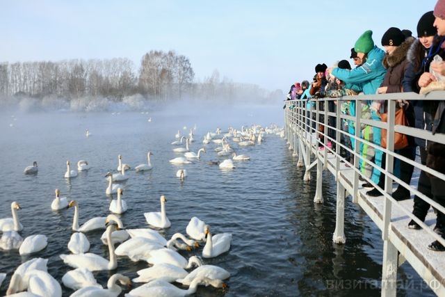 обзорные мостки на Лебедином озере_Ольга Кляйн.jpg