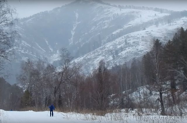 панорамы лыжного марафона в селе Алтайское_Pvital TV.jpg