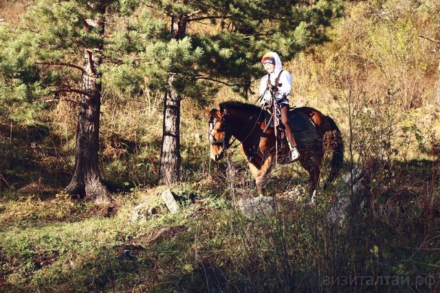 Мариам Навасардян на конном этапе Золотого гида Алтая 2020_Юлия Полухина.jpg