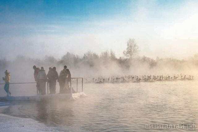 кадр из фотоальбома Алексея Эбеля Зимние сказки Лебединого озера.jpg