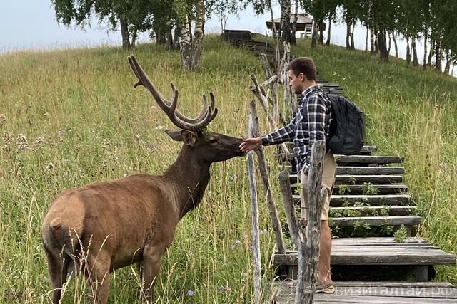 тревел-блогер Миша Ронкаинен с мараленком Вовой_Елена Седых.jpg