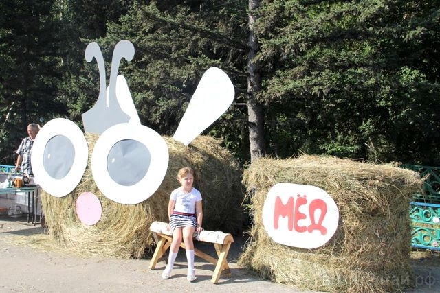 95 лет баевскому району 2019.jpg