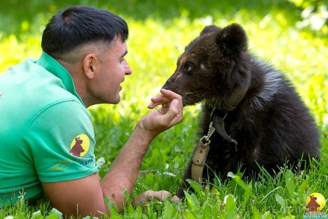 замдиректора барнаульского зоопарка Александр Чеботарев и найденыш медвежонок Глаша_zoo_22.jpg