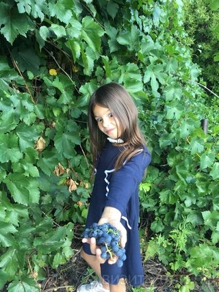 вот такооой виноград пробовали участники Экскурсионного флешмоба в Детском экологическом центре_Инна Мирошниченко.jpg