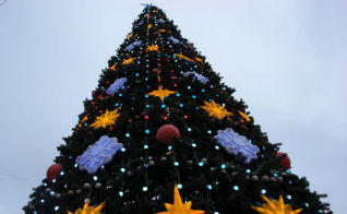 Главная новогодняя елка Алтайского края - вторая по высоте в Сибири