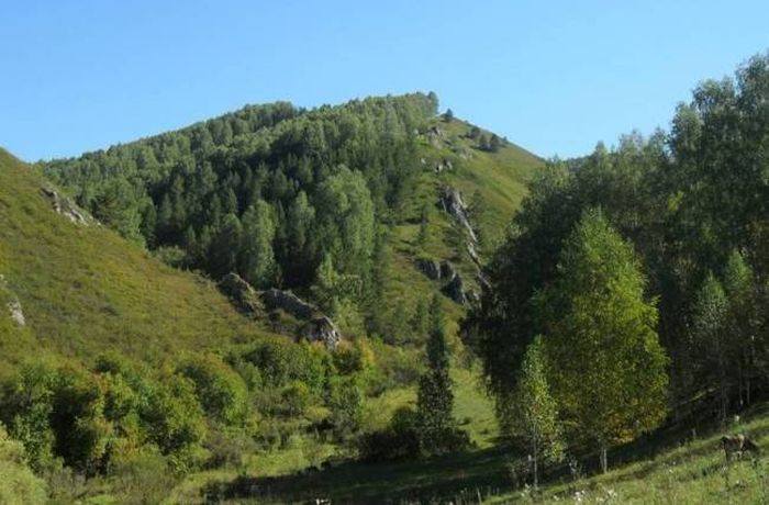Усилия и фильмы юных экологов привели к созданию еще нескольких памятников природы в Алтайском крае