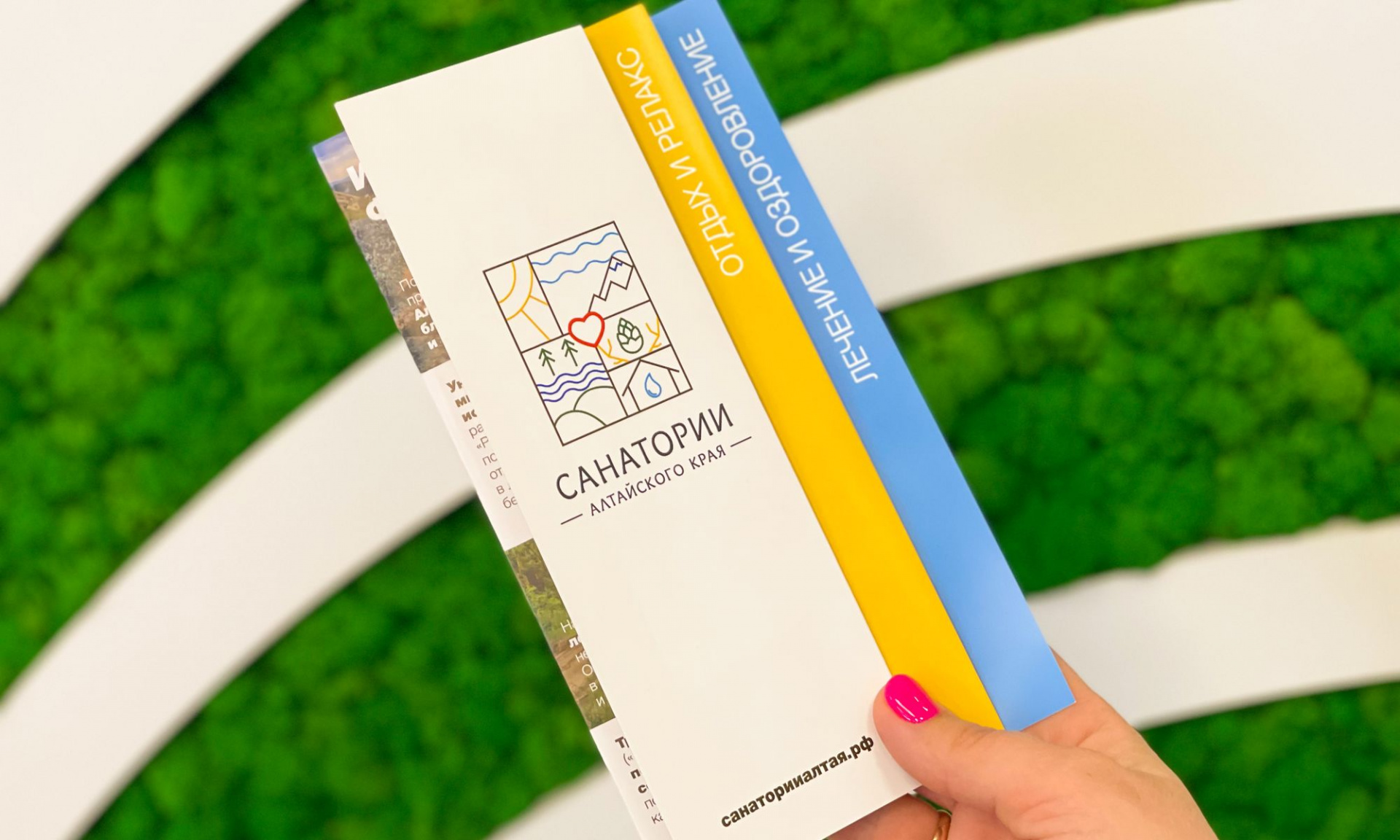 Для санаториев Алтайского края создан промо-буклет. Продвигать отрасль на  бизнес-выставках будут в компактном формате