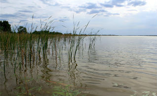 Озеро щекулдук кулундинский район