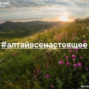 Россия на бесплатной почтовой открытке, Алтайский край – на цифровой: отправь брендированное послание хорошим людям