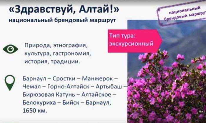 Маршруты, представленные алтайскими участниками воркшопа «Урал-Сибирь Плюс», опубликованы на региональном турпортале