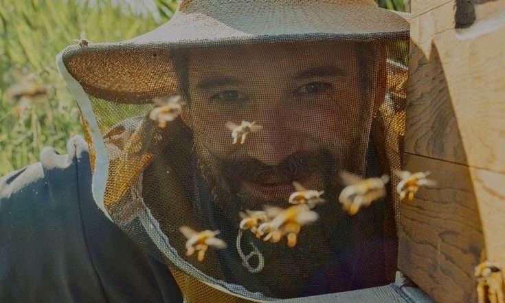 Почувствуй себя пчелой: веселый Медовый Спас устраивают на Пантелеймоновой пасеке усадьбы «Сокол»