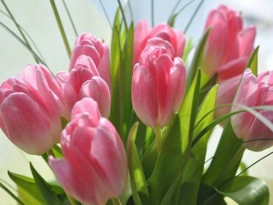 Весна на Алтае: чем заняться в марте