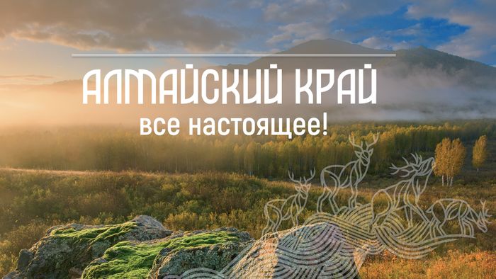 Бренд «Алтайский край. Все настоящее» представят участникам международного туристического бизнес-форума