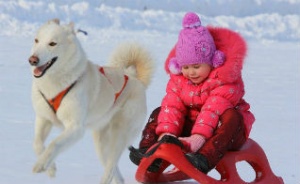 Что приготовили на празднике «Алтайская зимовка» для детей?