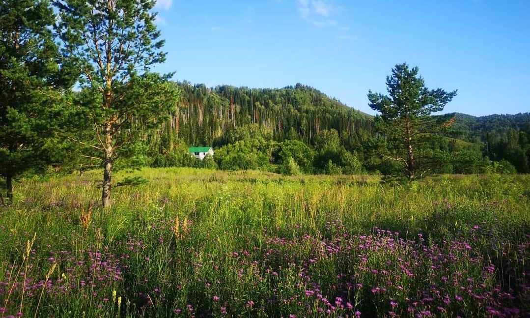 Купить Участок На Алтае В Горах