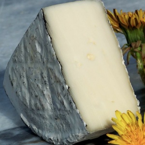 «Алтайский камамбер» от Кокориных станет подарком за лучшее название сыра
