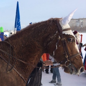 Ипподром «Алтайской зимовки»: кони, люди, дед морозы, снег – красотища!
