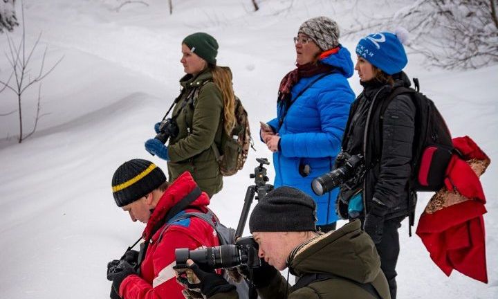 Природа на фото и в мозаике, хороводы старожилов, золото и серебро Алтая – в музеях: польза и удовольствие от выходных