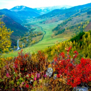 Алтайский край вошел в топ-10 самых популярных у туристов регионов России в 2016 году