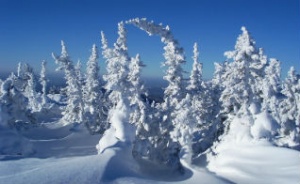 «Белая сказка»  для детей и взрослых на празднике «Алтайская зимовка»