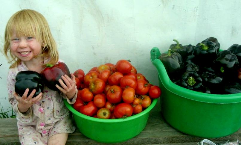 Сельская гастрономия, веселье с Муранкой и бесплатные экскурсии по «местам силы»: «Солоновские закрома» готовы открыть