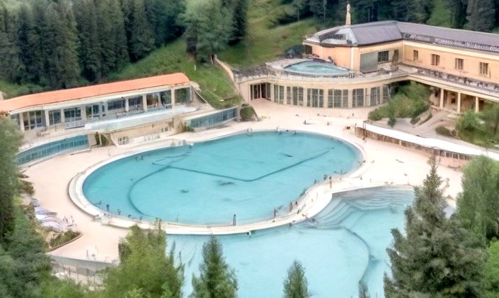 Спланировать отдых в здравнице будущего на Белокурихе Горной поможет инвестпроект курортного отеля «Беловодье»