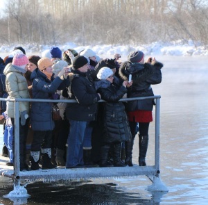 Как сэкономить от 1,5 тысячи, планируя поездку на лебединые озера? Участвуй в акции «Алтайской зимовки»!
