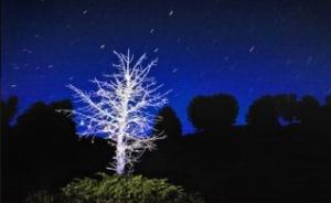 Выставка «Восточный ветер в ночь полной луны» открыта в галерее «Турина гора»