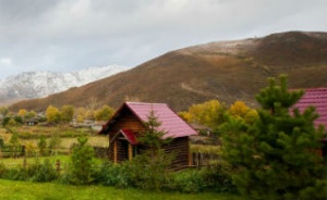 Какие формы государственной поддержки существуют для предпринимателей Алтайского края в сфере сельского туризма?
