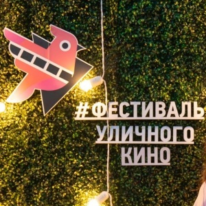 22 короткометражки и три тематических программы: 16 сентября в Барнауле стартует Фестиваль уличного кино