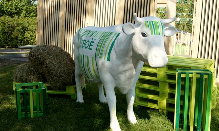 «Как же вкусно мы живем на Алтае!» – в первые выходные осени фестиваль фермерской еды займет площадь Советов