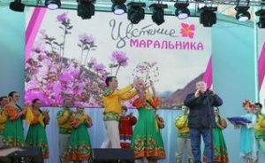 «Цветение маральника» - особое событие в туристической жизни региона