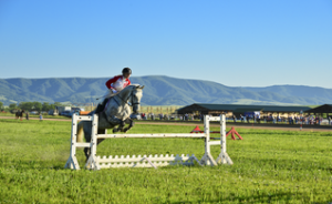Ипподром «Алтай» впервые организует региональные соревнования по конному троеборью 