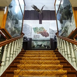Краеведческий музей запустил новый сайт и открыл выставку к 290-летию Барнаула