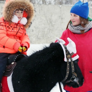 Ипподром – одна из барнаульских площадок праздника «Алтайская зимовка»