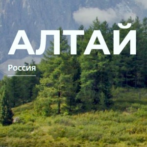 О продвижении турпотенциала Алтайского края рассказали на онлайн-конференции, об отдыхе в регионе – на тематическом портале