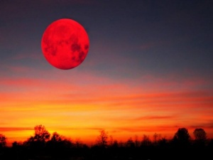 Барнаульцы увидят лунное затмение