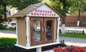 В год литературы в Бийске появится первая уличная библиотека