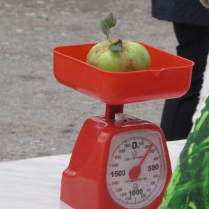 Медово-яблочный спас в Баевском районе: ярмарка, концерт, народные гуляния 