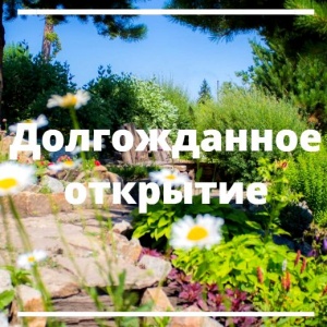 В Белокурихе принимать гостей начал санаторий «Эдем». С 15 июня число работающих здравниц Алтайского края вырастет до двенадцати