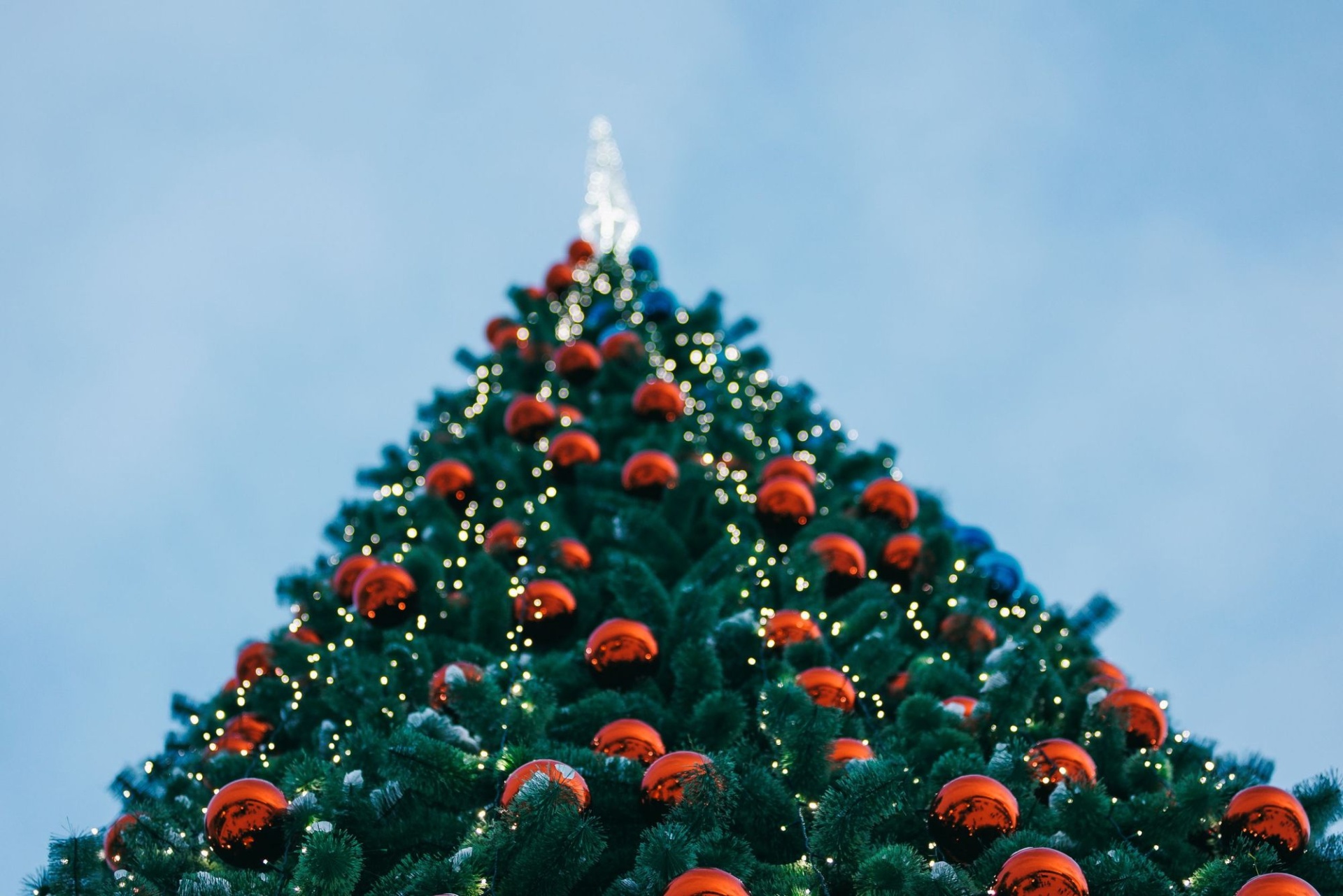 елка Алтайской зимовки в Белокурихе_Елена Захарова.jpg елка Алтайской зимовки в Белокурихе_Елена Захарова.jpg