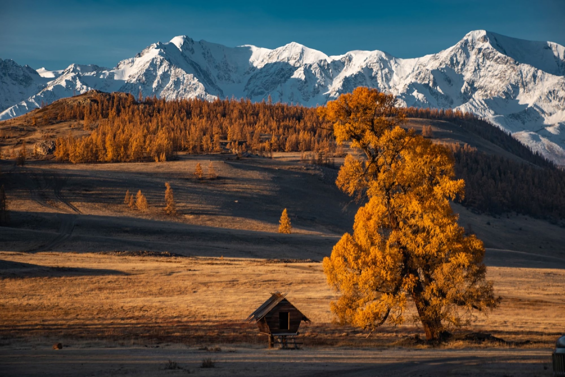 работа Эльвиры Черновой На Чуйском тракте на выставке Глубина кадра.jpg