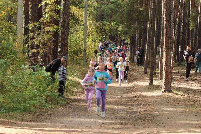 участники забега Кросс нации на барнаульской Трассе здоровья_Александр Черный_altaisport.ru.jpg