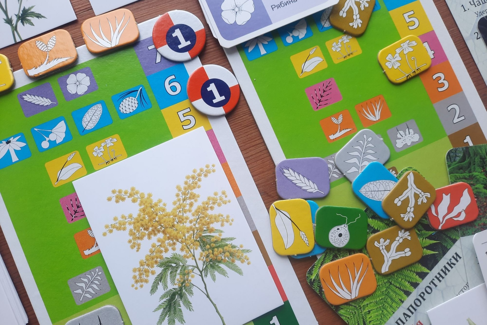 Умная игротека Олеси Южковой_gmilika.jpg