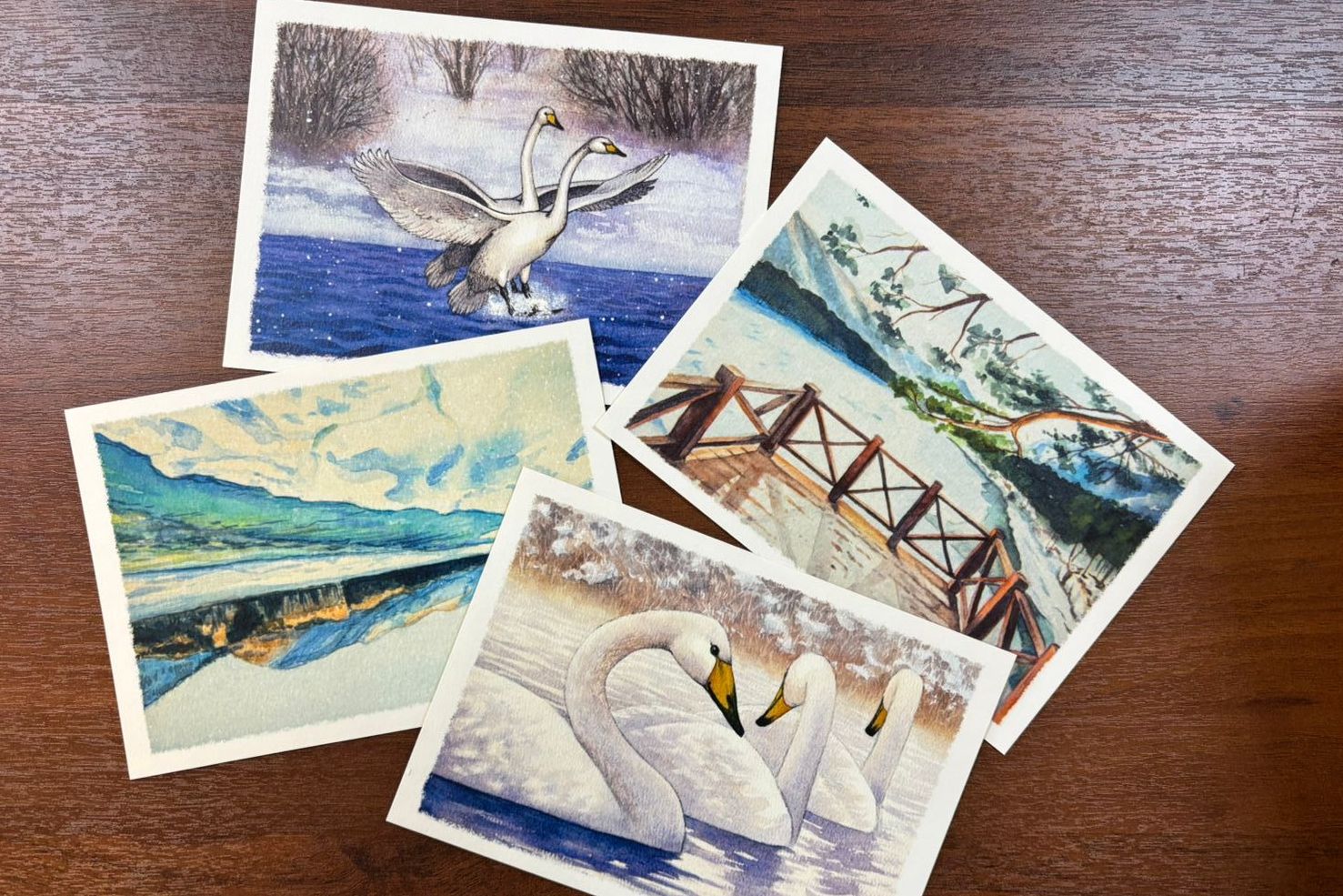 открытки Алтайской зимовки Юлии Шмелевой и Дарьи Ганничевой_Лилия Петрашова.jpg