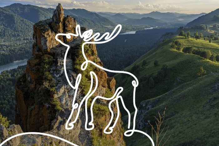 логотип Алтайского края в проекте Discover Russia_discoverrussia.ru.jpg