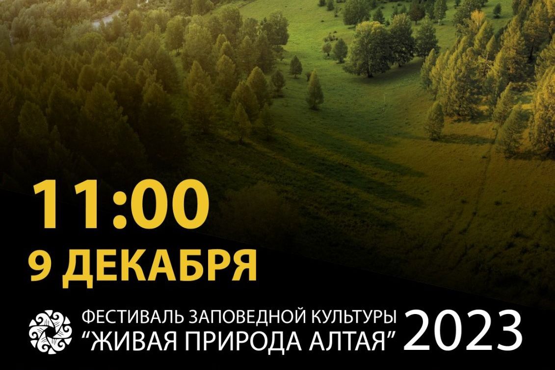афиша фестиваля заповедной культуры Живая природа Алтая-2023_salairecotour.jpg афиша фестиваля заповедной культуры Живая природа Алтая-2023_salairecotour.jpg